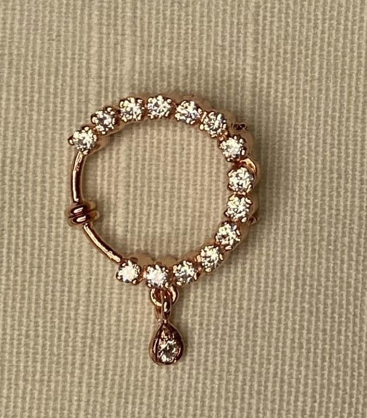 Nose Ring (medium)