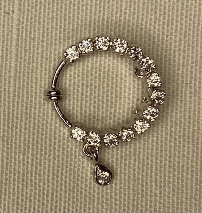 Nose Ring (medium)